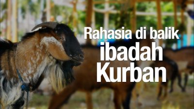 Ceramah Singkat: Rahasia di Balik Ibadah Qurban Ceramah Singkat: Rahasia di Balik Ibadah Qurban